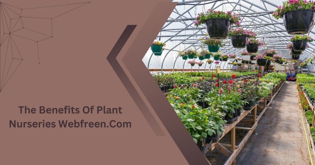 The Benefits Of Plant Nurseries Webfreen.Com